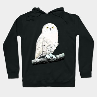 Snowy owl Hoodie